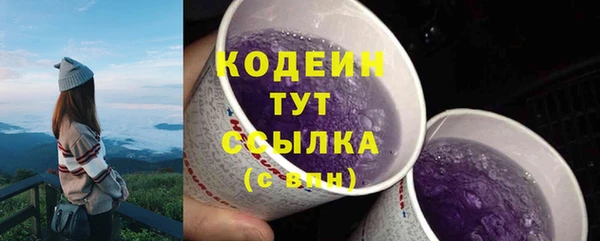 прущие грибы Богородицк