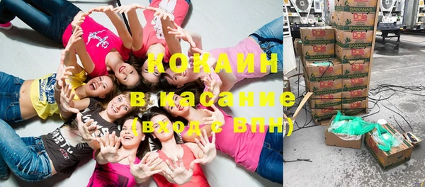 винт Богданович