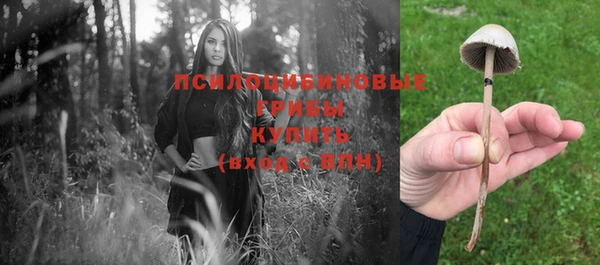 a pvp Снежногорск