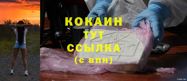 прущие грибы Богородицк