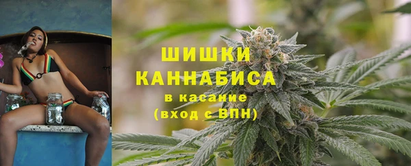 винт Богданович