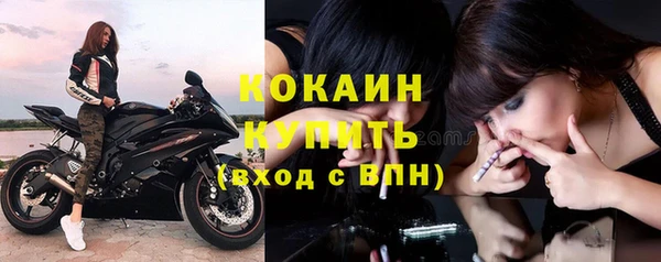 прущие грибы Богородицк