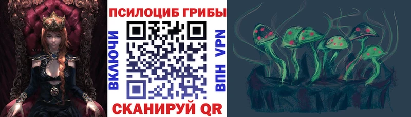 Галлюциногенные грибы Psilocybe  наркота  Туапсе 